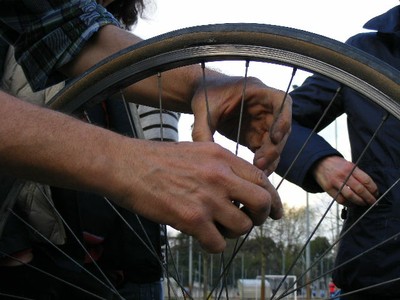 Un nuovo strumento a corde?