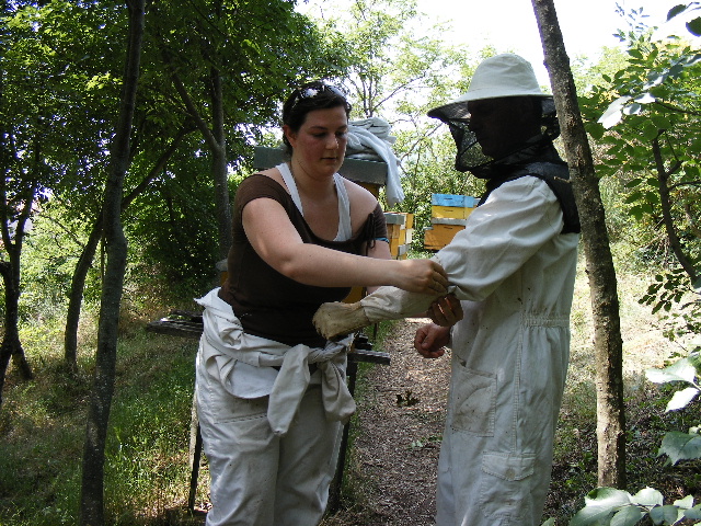 6 - preparazione