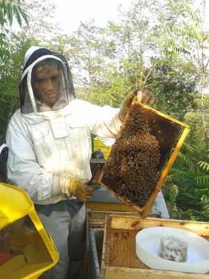 Alberto ci mostra le api all'opera